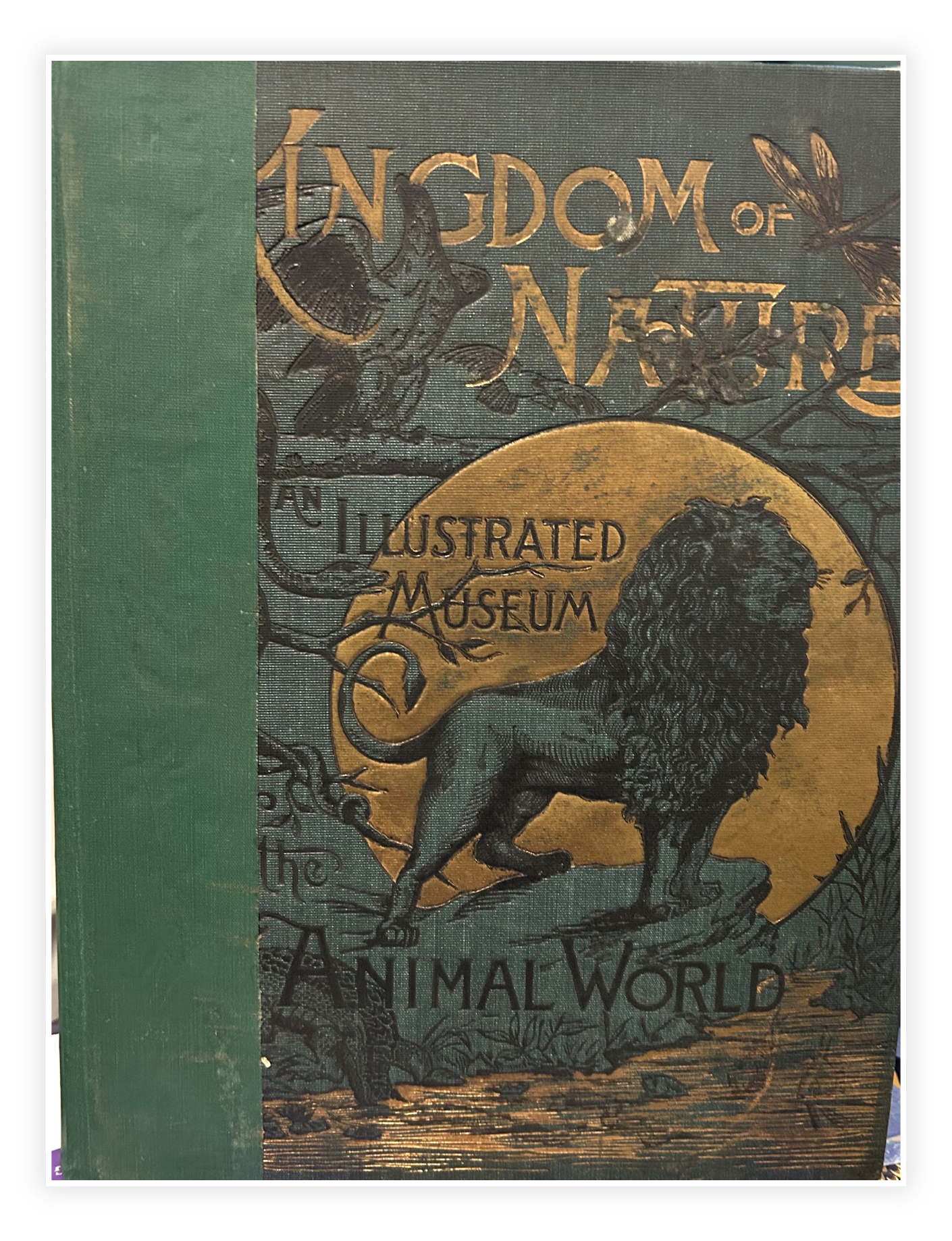 Ornate cover of The Kingdom of Nature