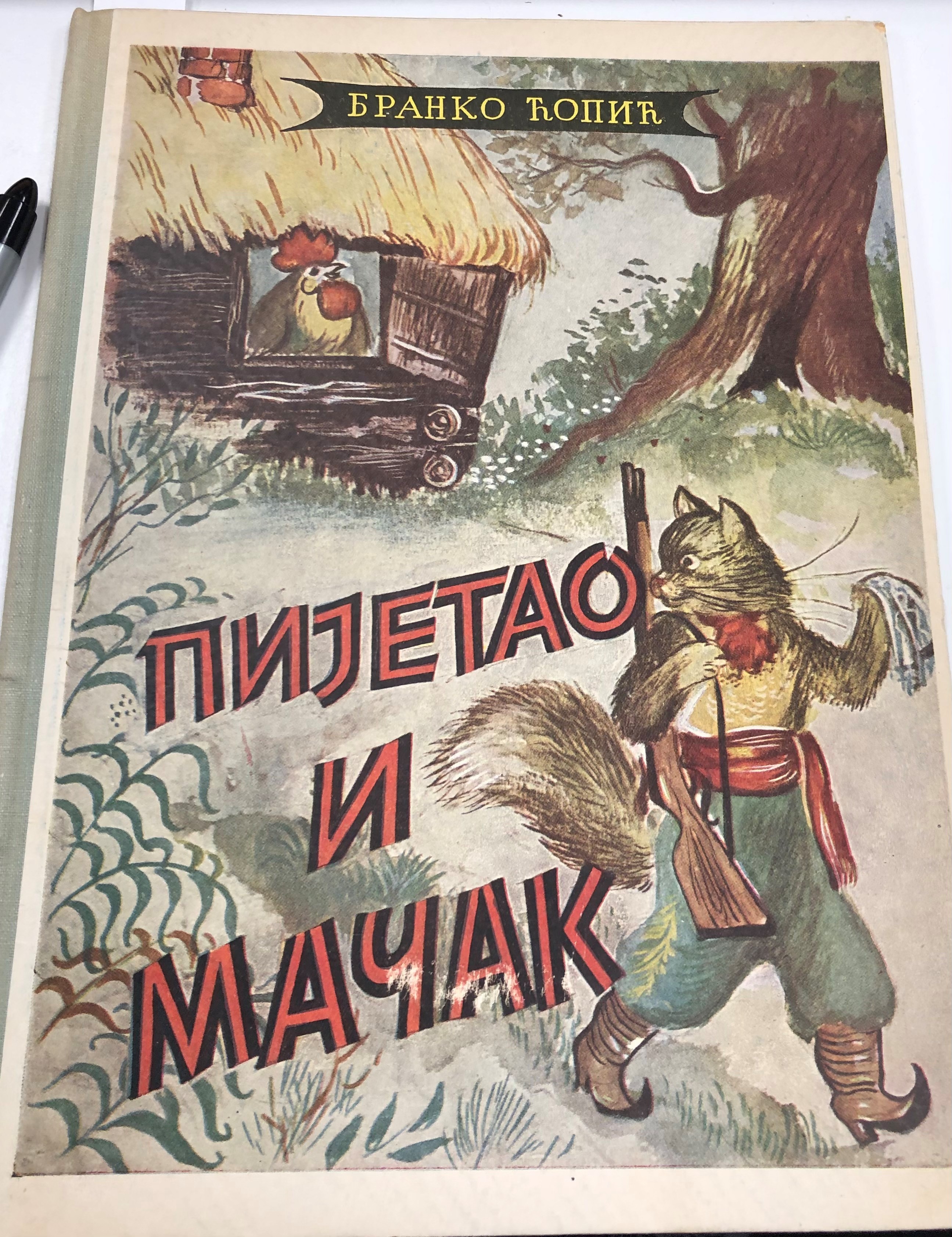 photo of a Serbian children's book 