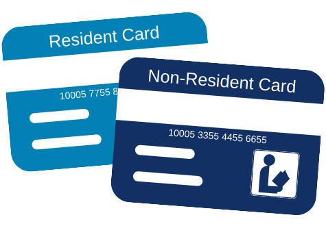 Library Cards Icon