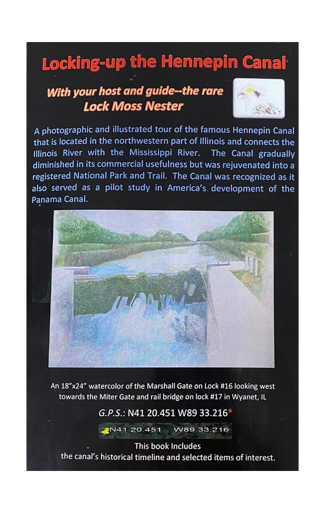 cover image of locking-up the hennepin canal