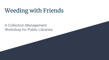 program title thumbnail