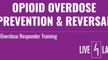 program title thumbnail